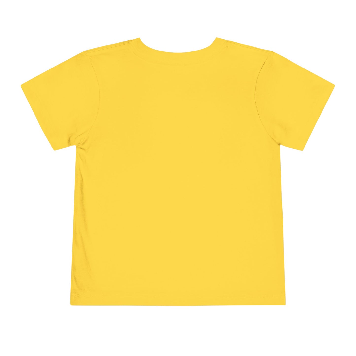 Little Miss Firecracker Toddler Tee | Patriotic 4th of July Kids Shirt